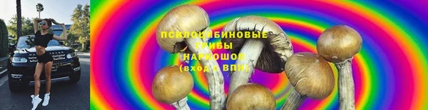 прущие грибы Зеленокумск
