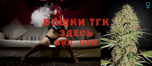 шишки Зеленодольск