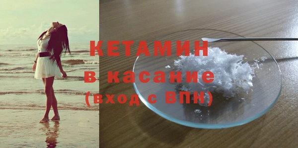 прущие грибы Зеленокумск