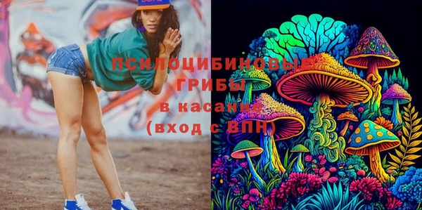 прущие грибы Зеленокумск